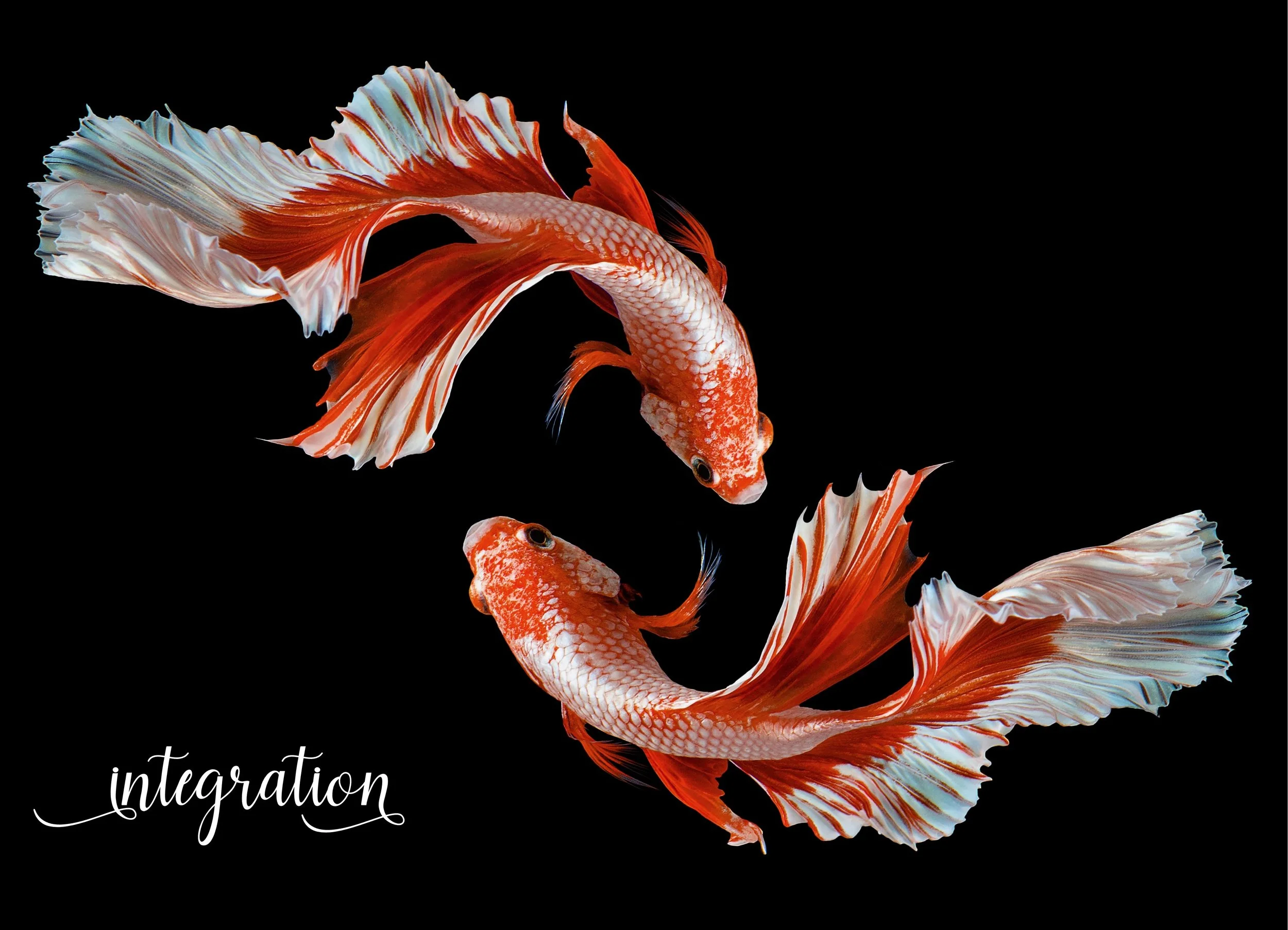 Pisces New Moon '26.jpg