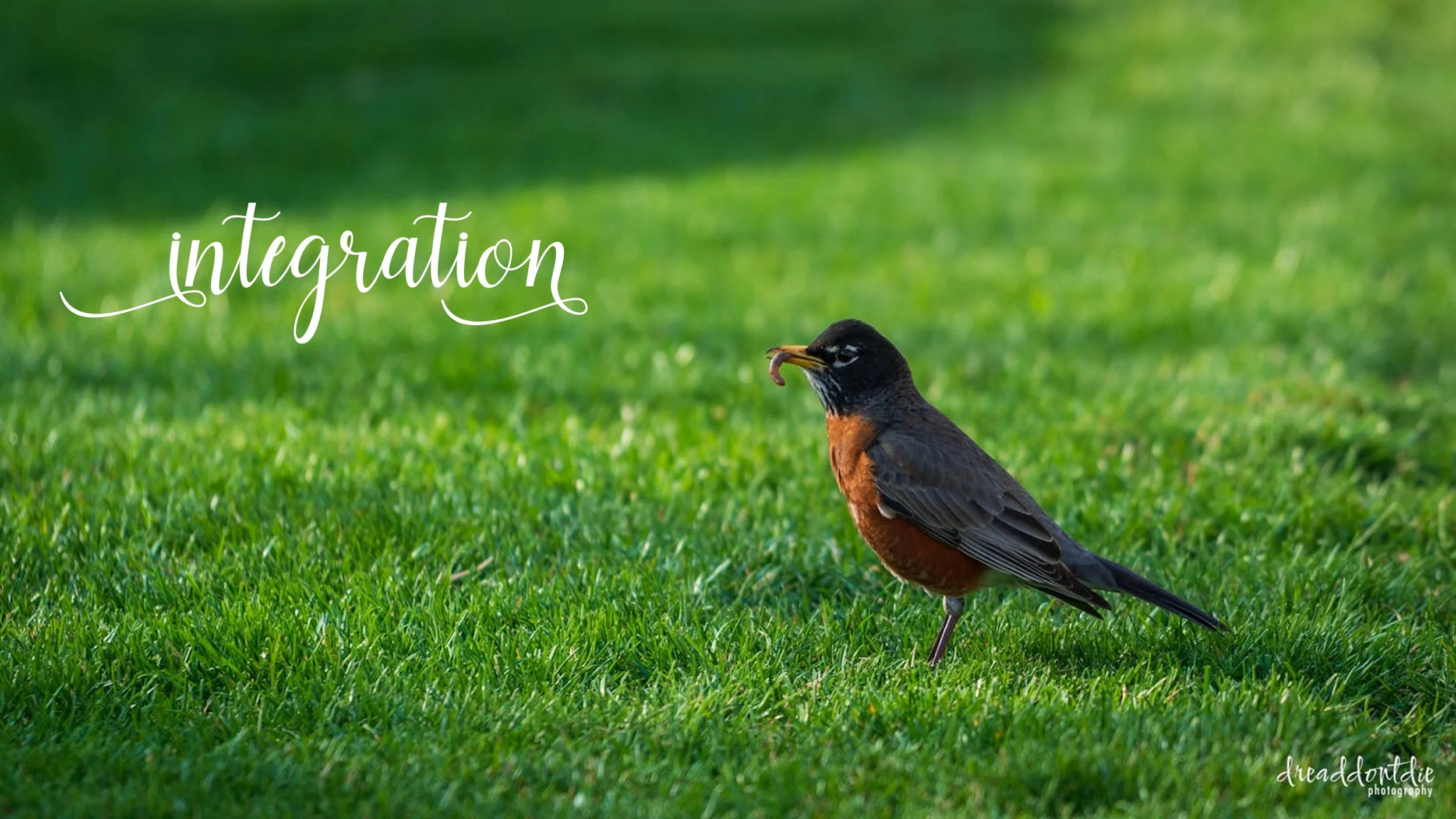 Pisces New Moon - Mar '26.jpg