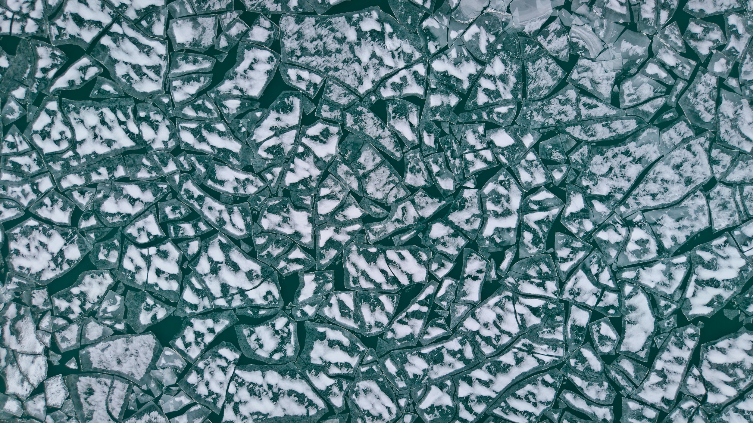 DJI_20250114164248_0248_D-Enhanced-NR (2).jpg