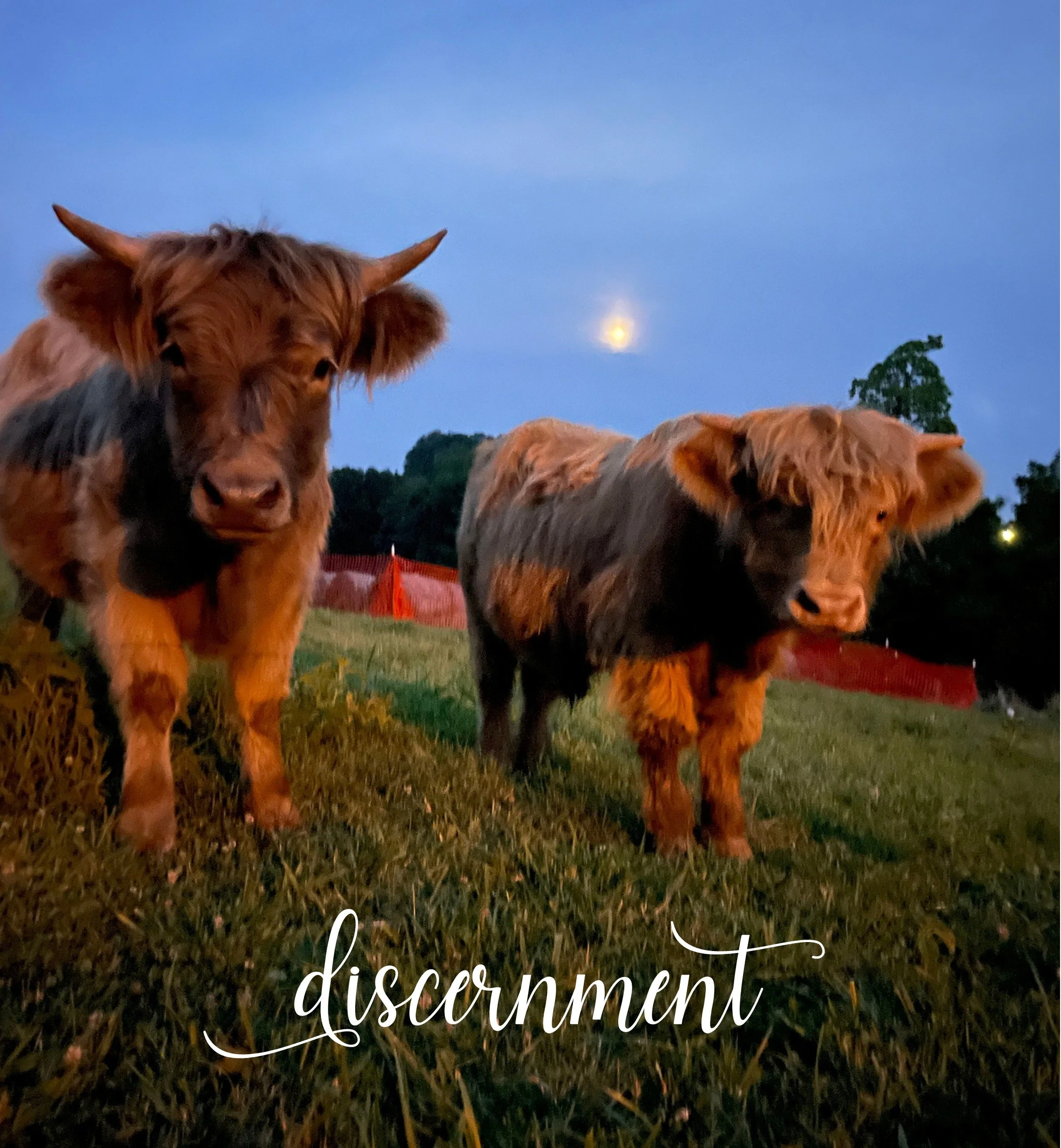 Aries Harvest Moon - Sep '26.jpg