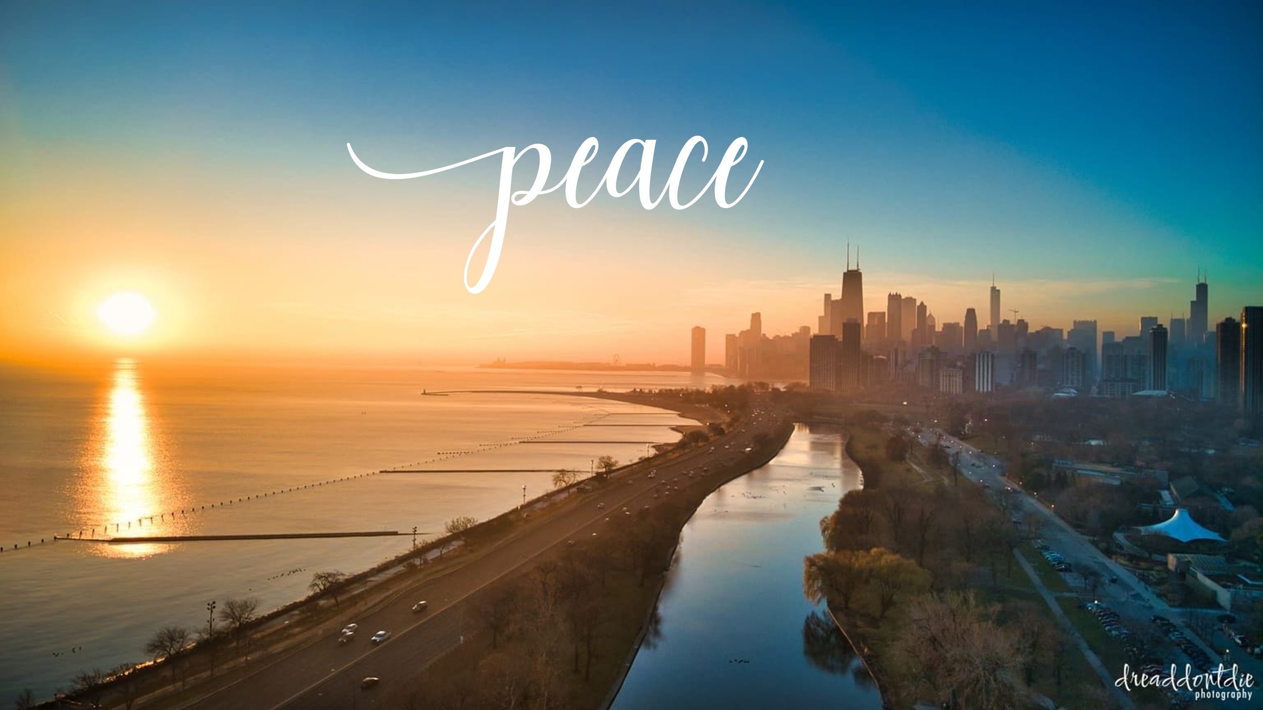 Chicago Peace - ddd.jpg