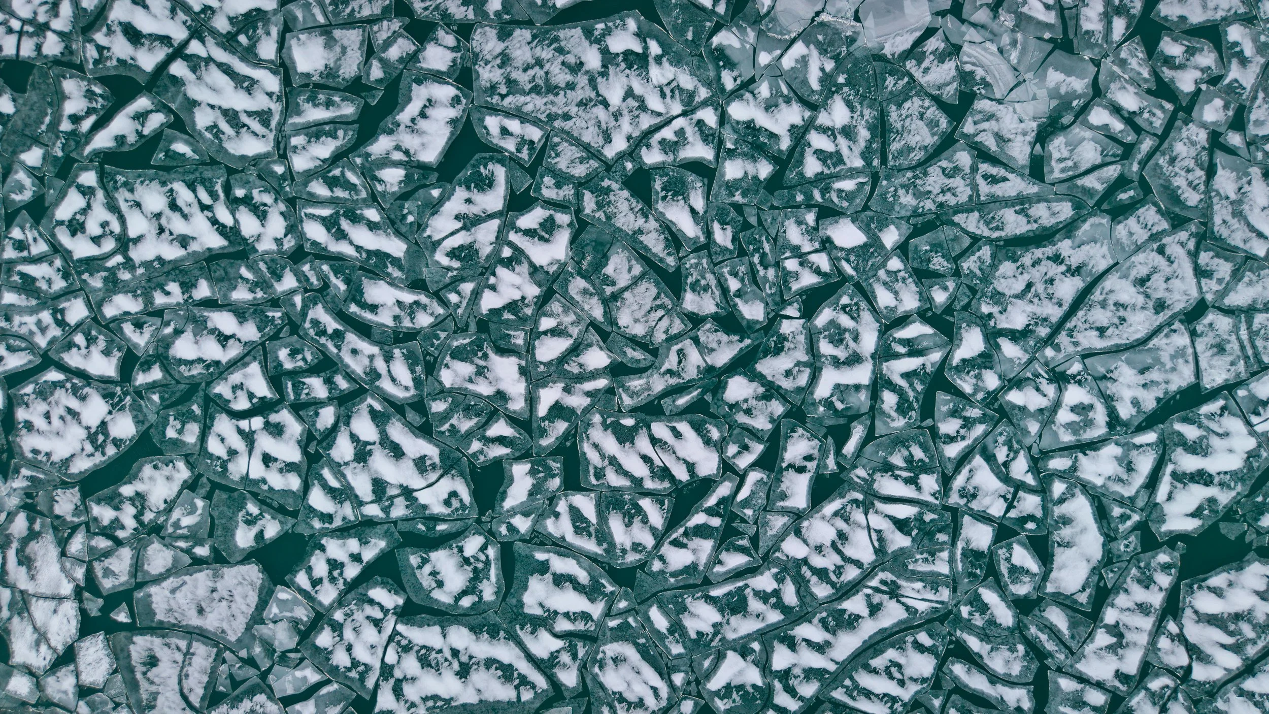 DJI_20250114164248_0248_D-Enhanced-NR (2).jpg