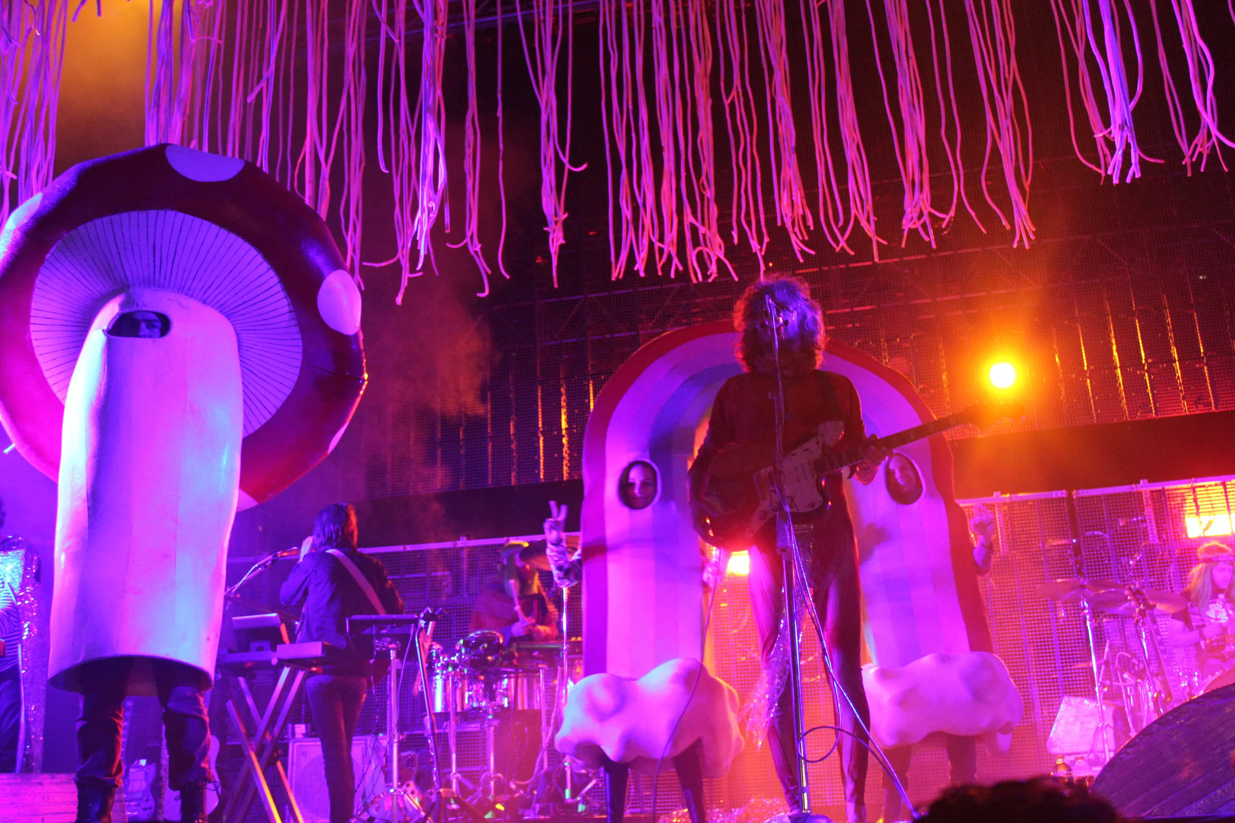 flaminglips-3.jpg