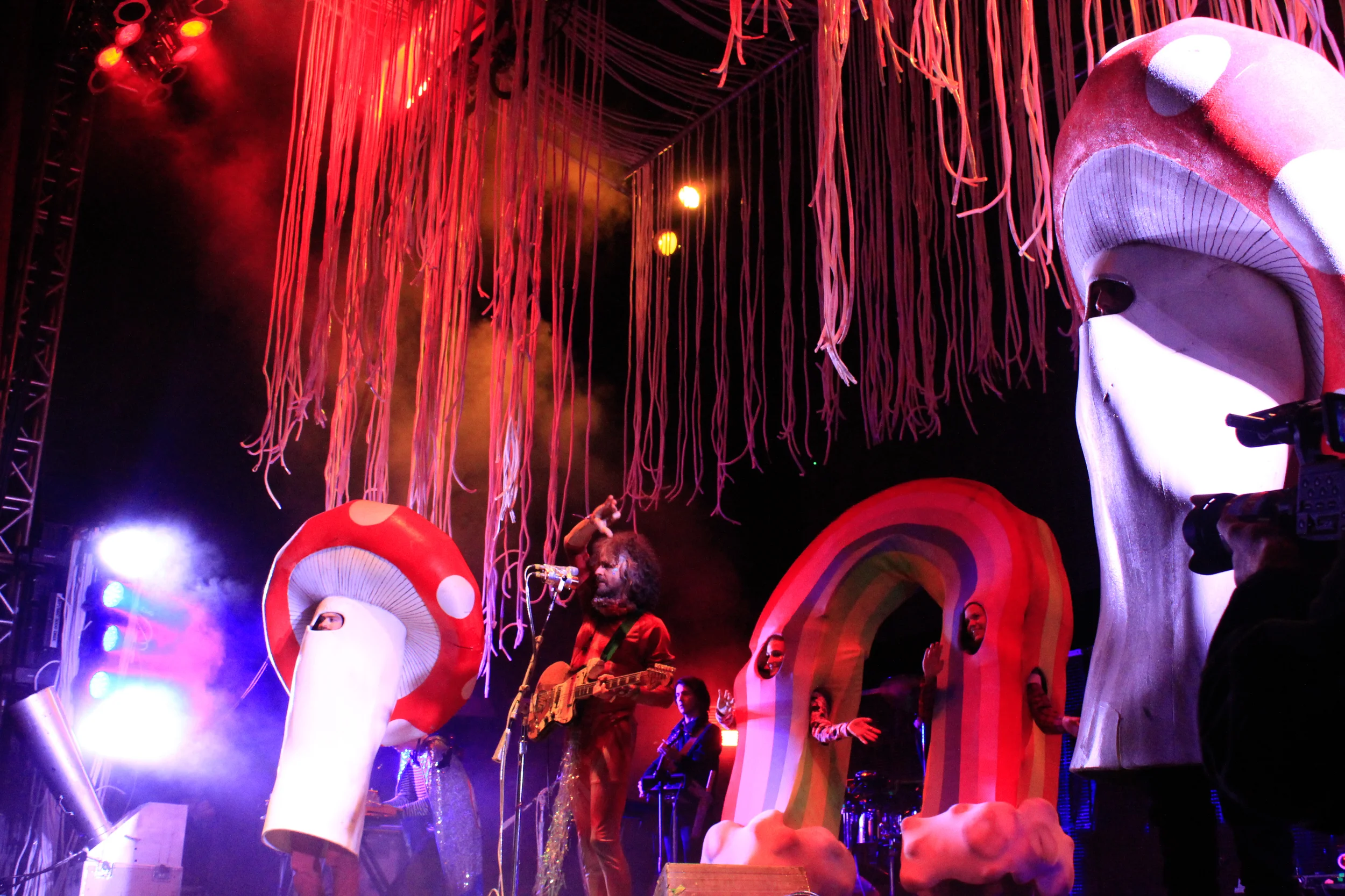 flaminglips-9.jpg