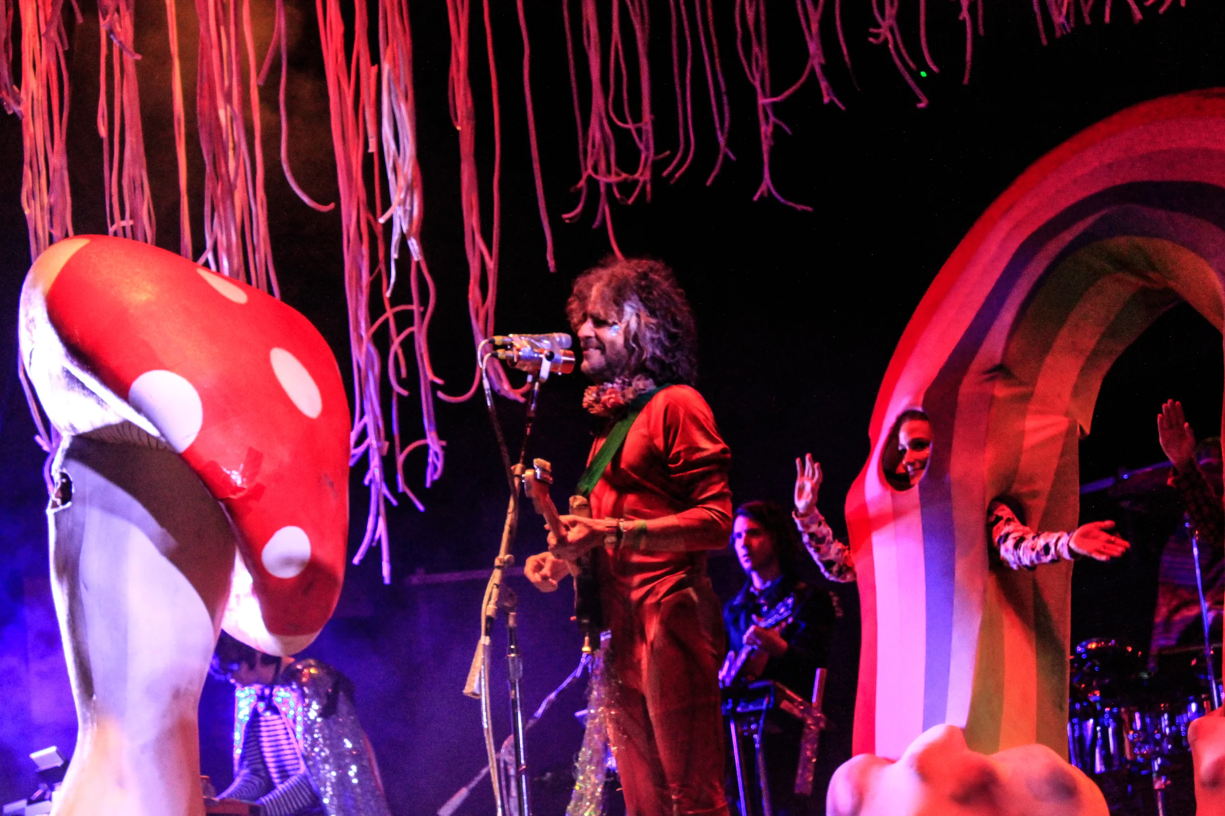 flaminglips-10.jpg