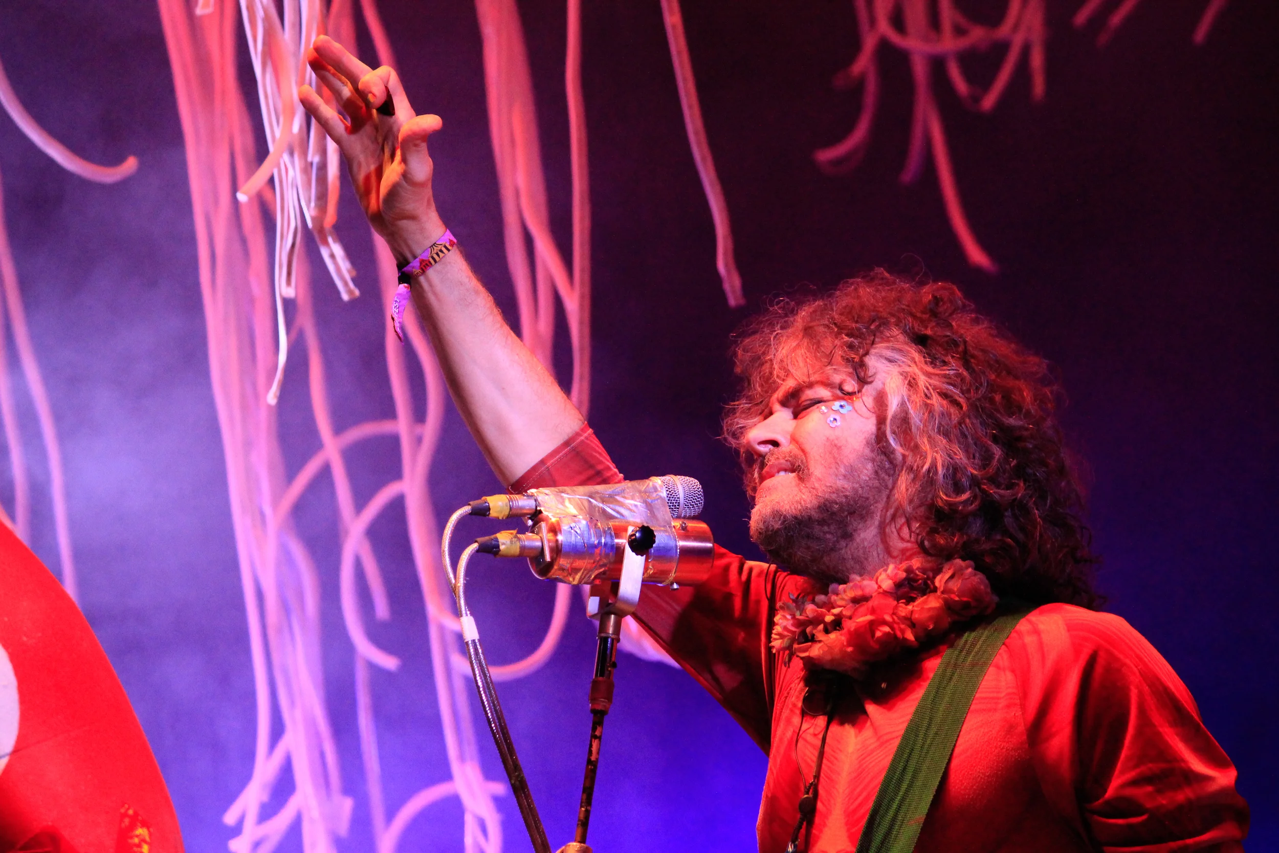 flaminglips-11.jpg