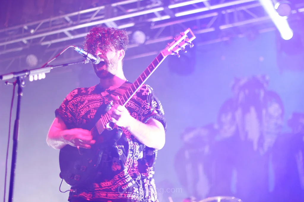 FOALS-5.jpg
