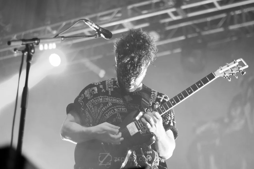 FOALS-8.jpg