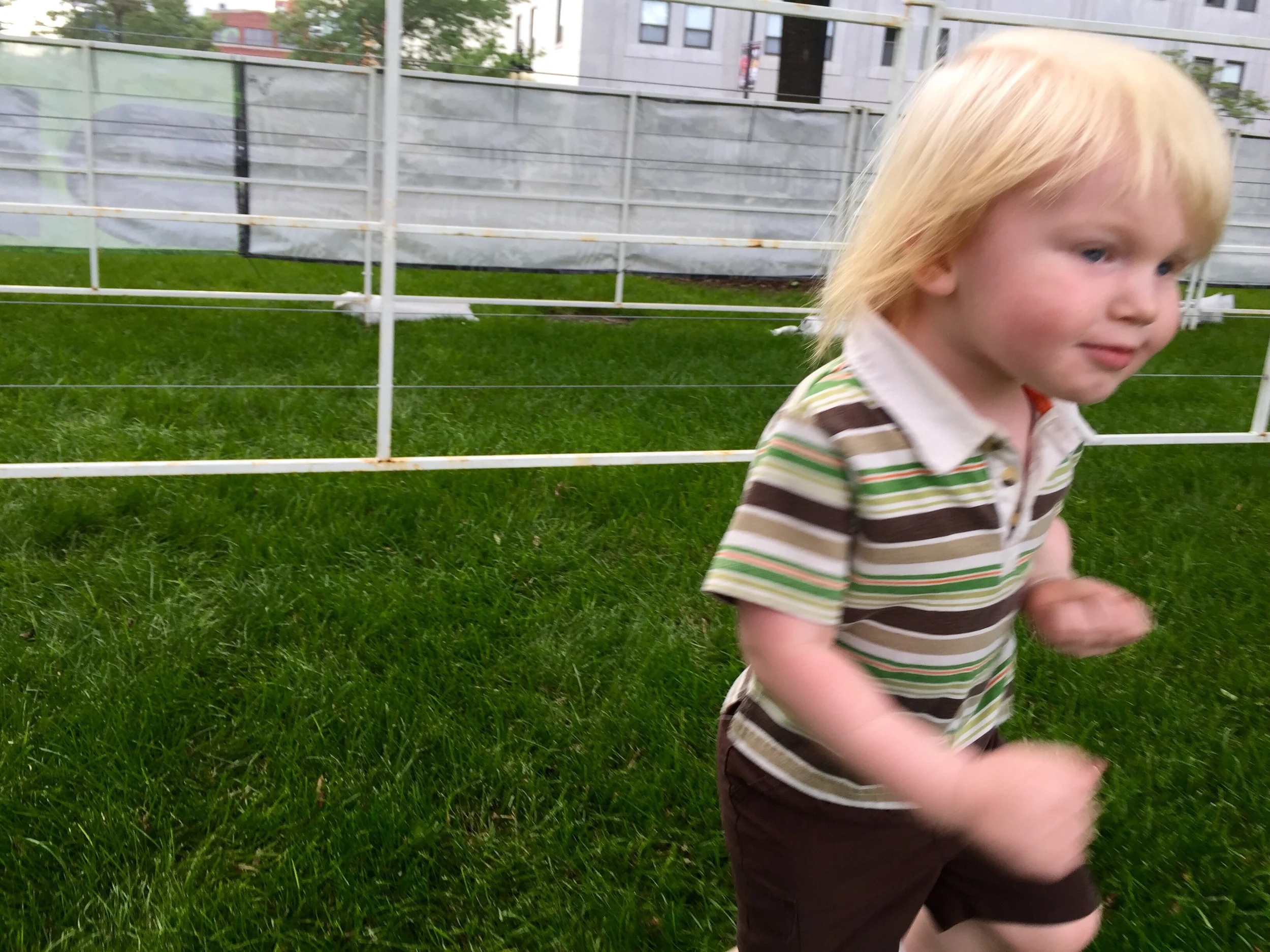 Running around like a crazy person...