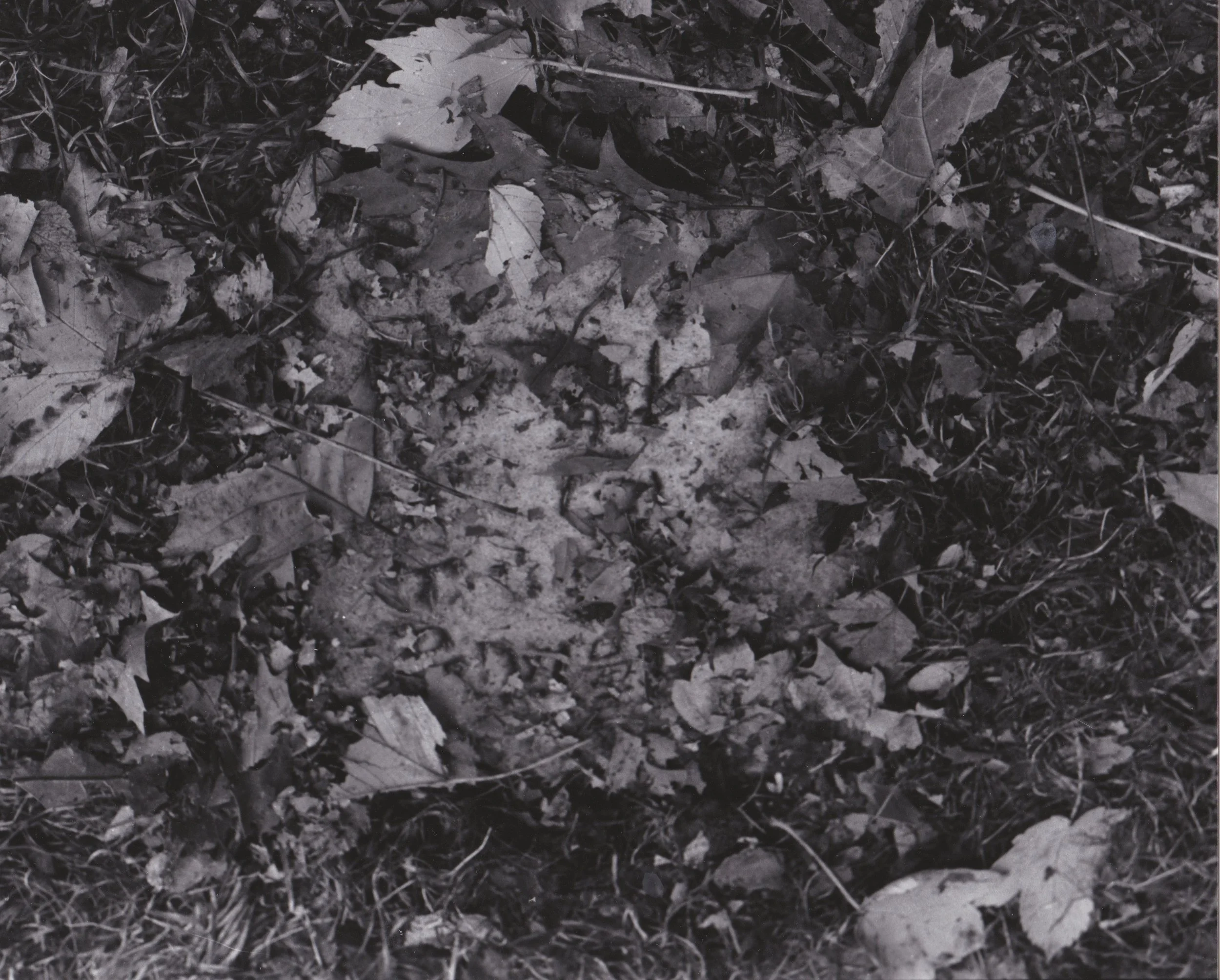 a-chinaman's-grave2.jpeg