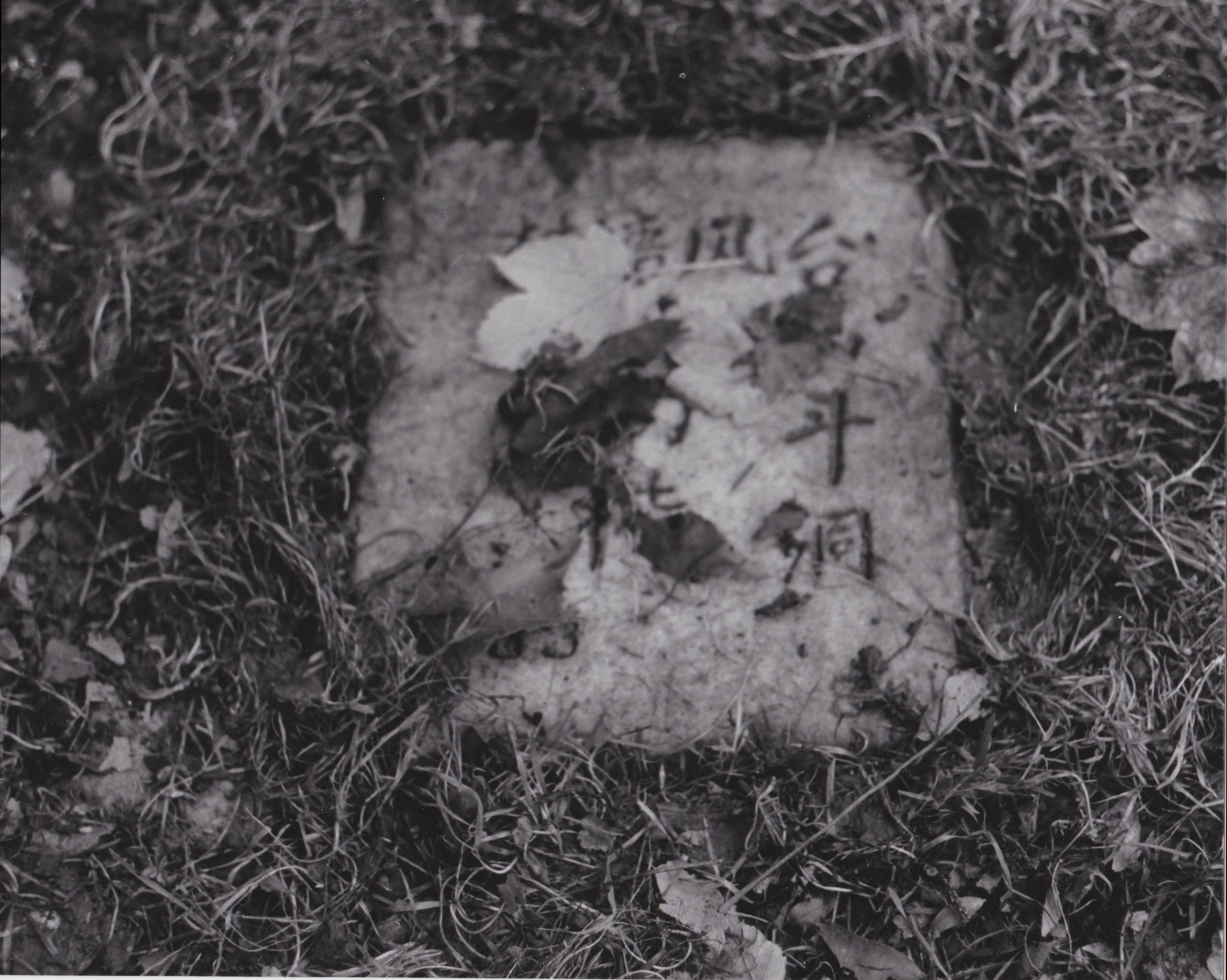 a-chinaman's-grave3.jpeg