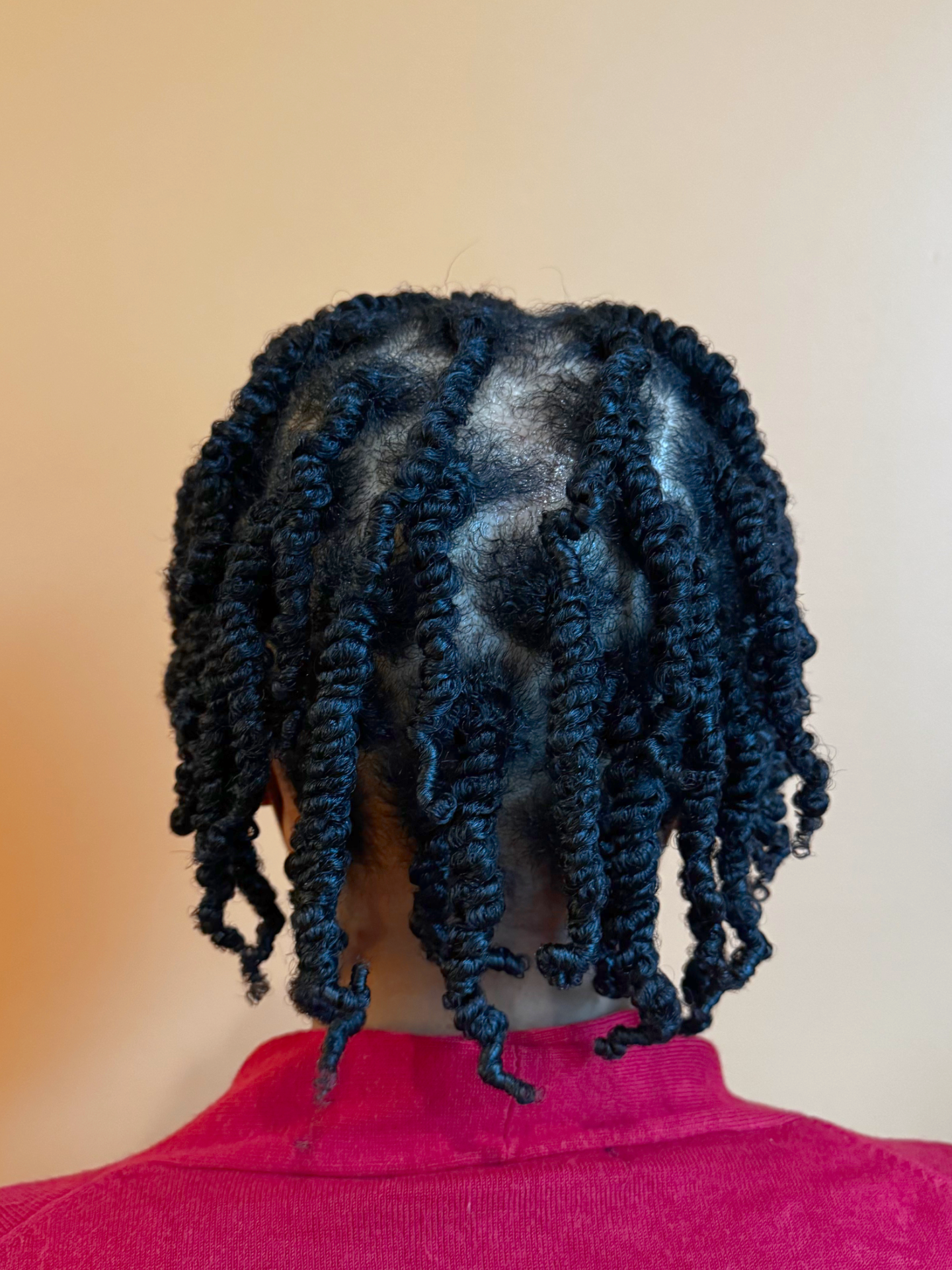 Twists-IMG_0197.png
