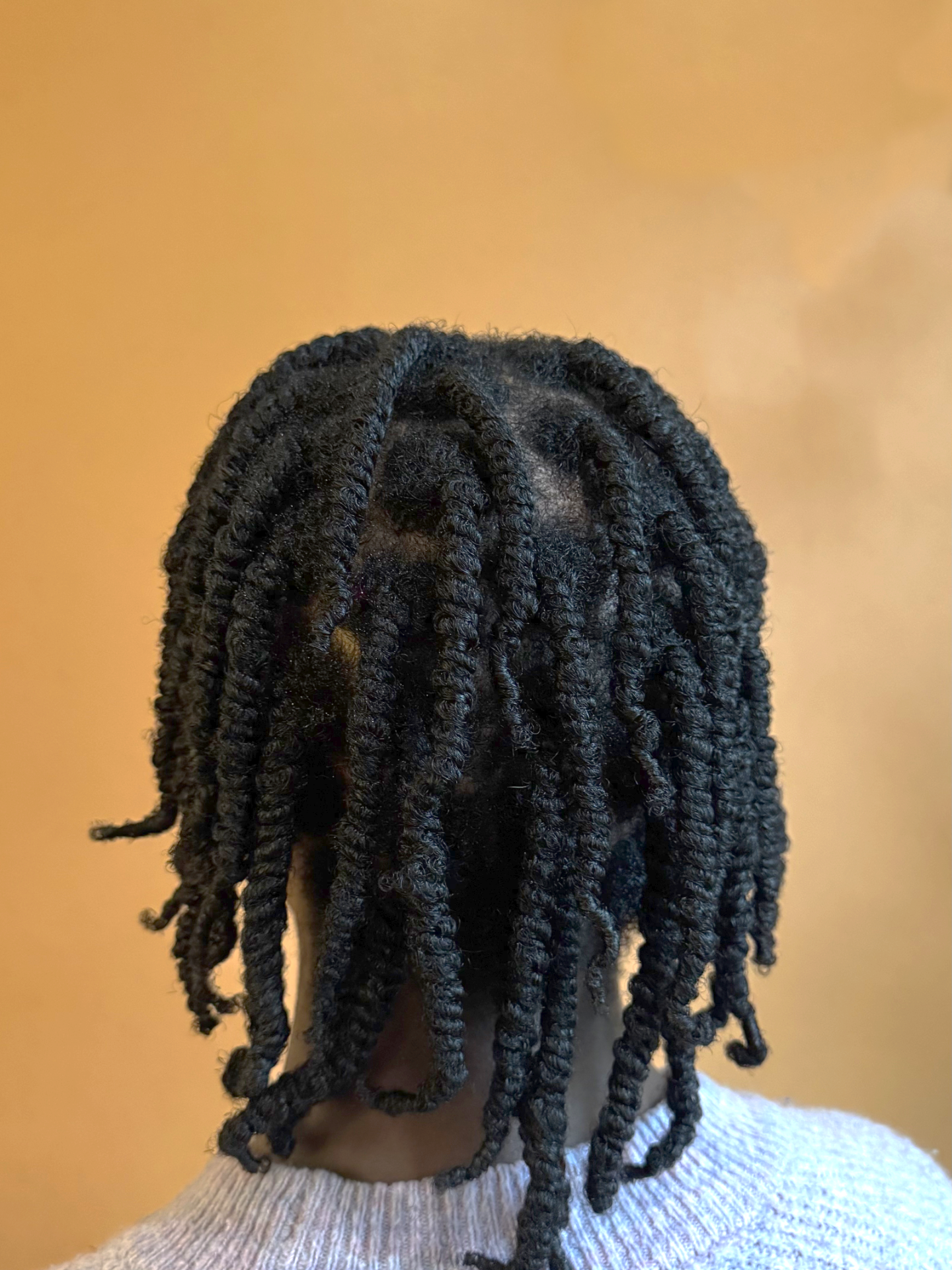 Twists2-IMG_0197.png