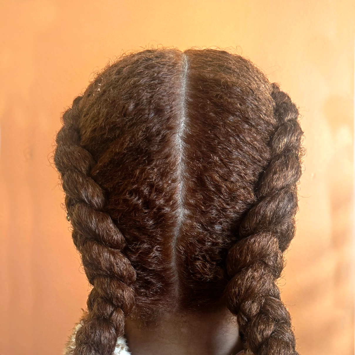 edited 2 braids.png