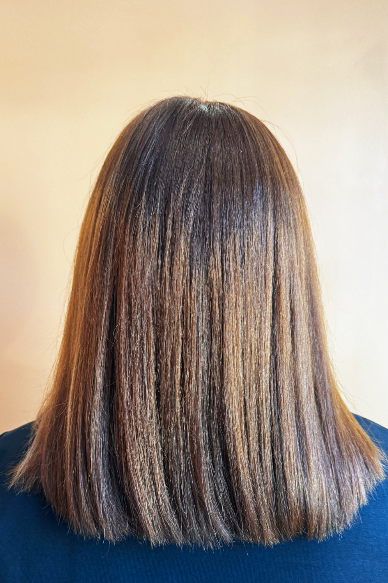 Silk Press (No Curl)