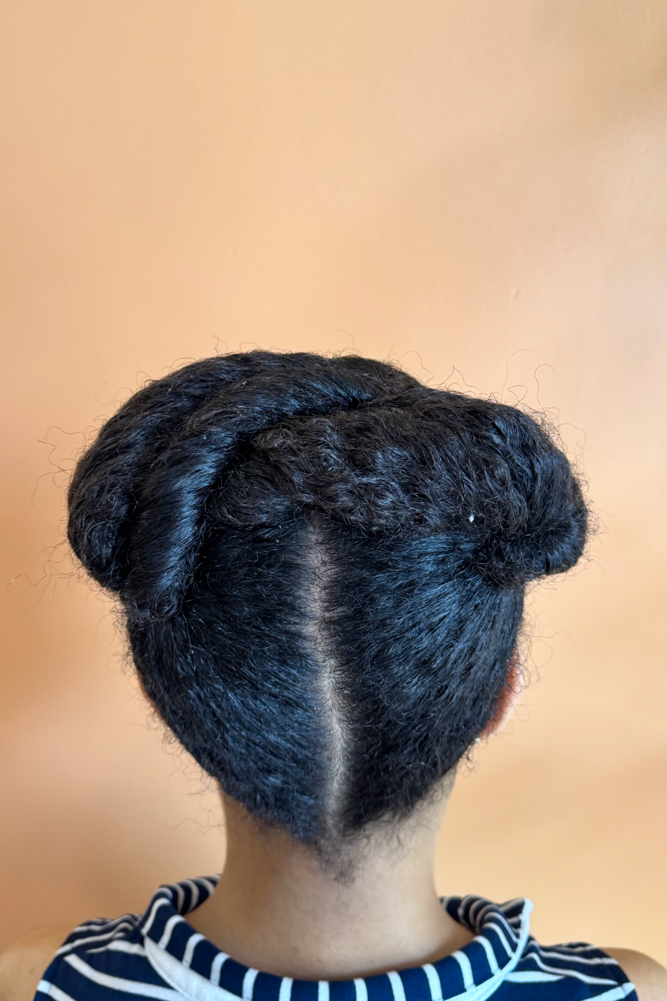 Natural Updo (on Wet Hair)