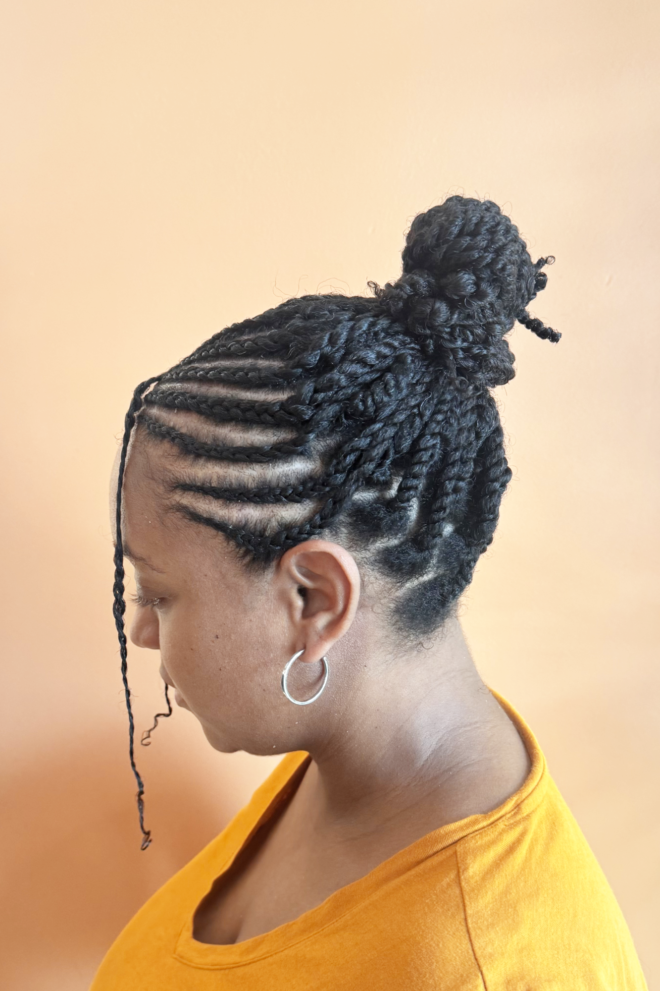 Combination Updo (on Dry Hair)