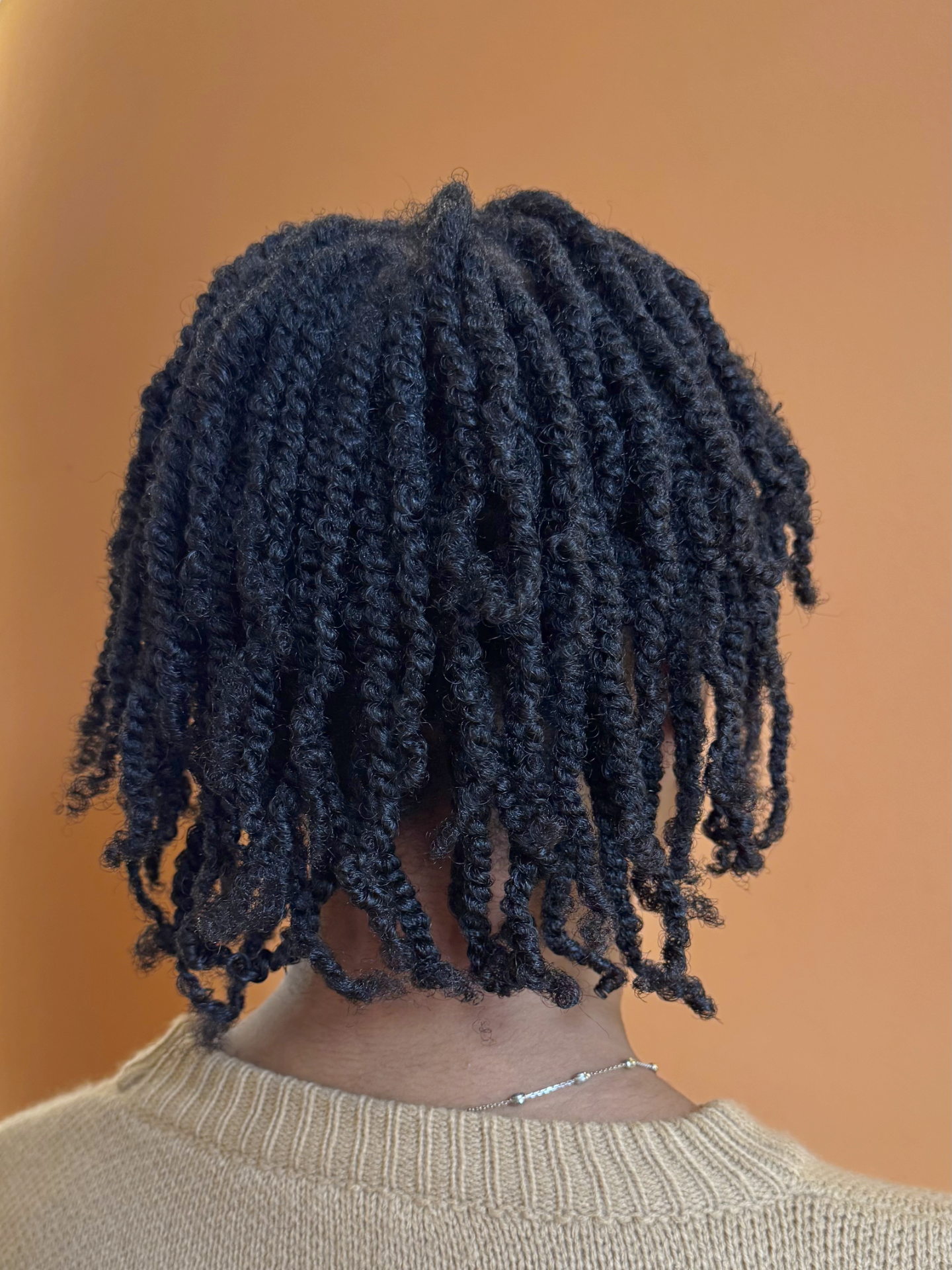 Twists5-IMG_0779.png