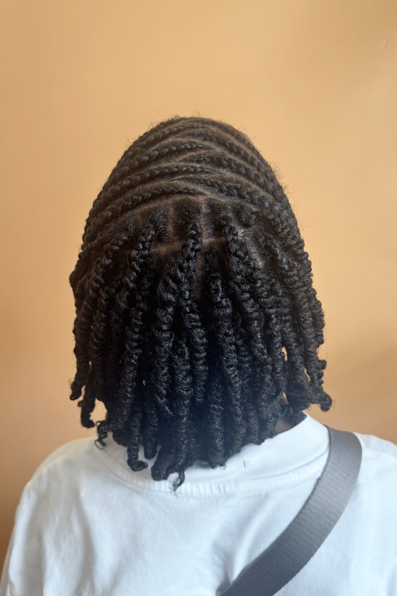 Cornrow + Twist Combination Style (on Dry Hair)