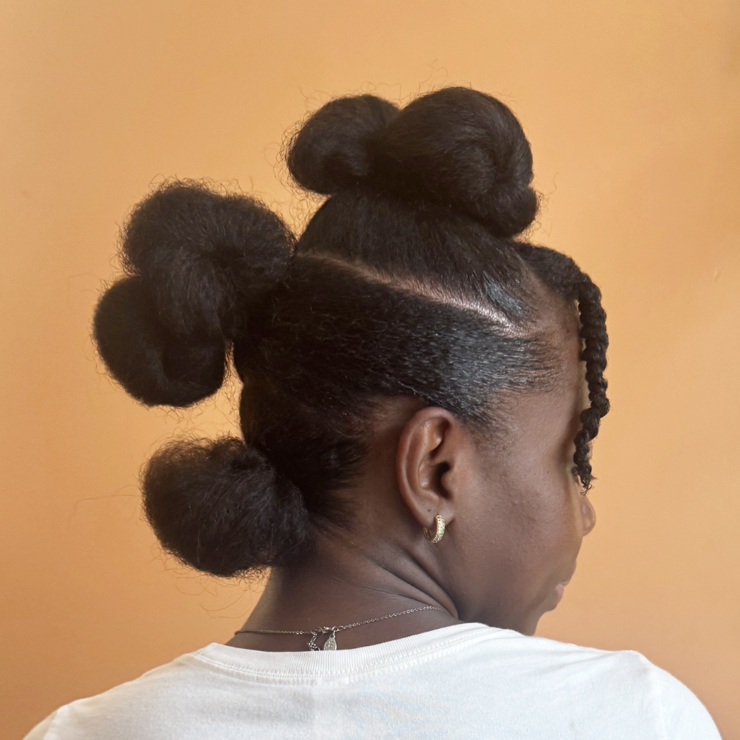 Natural Hair Updo (on Dry Hair)