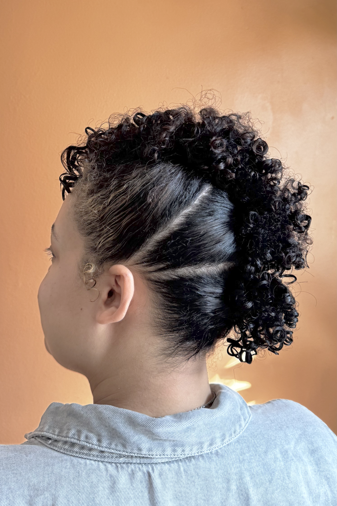 Natural Hair Updo (on Wet Hair)