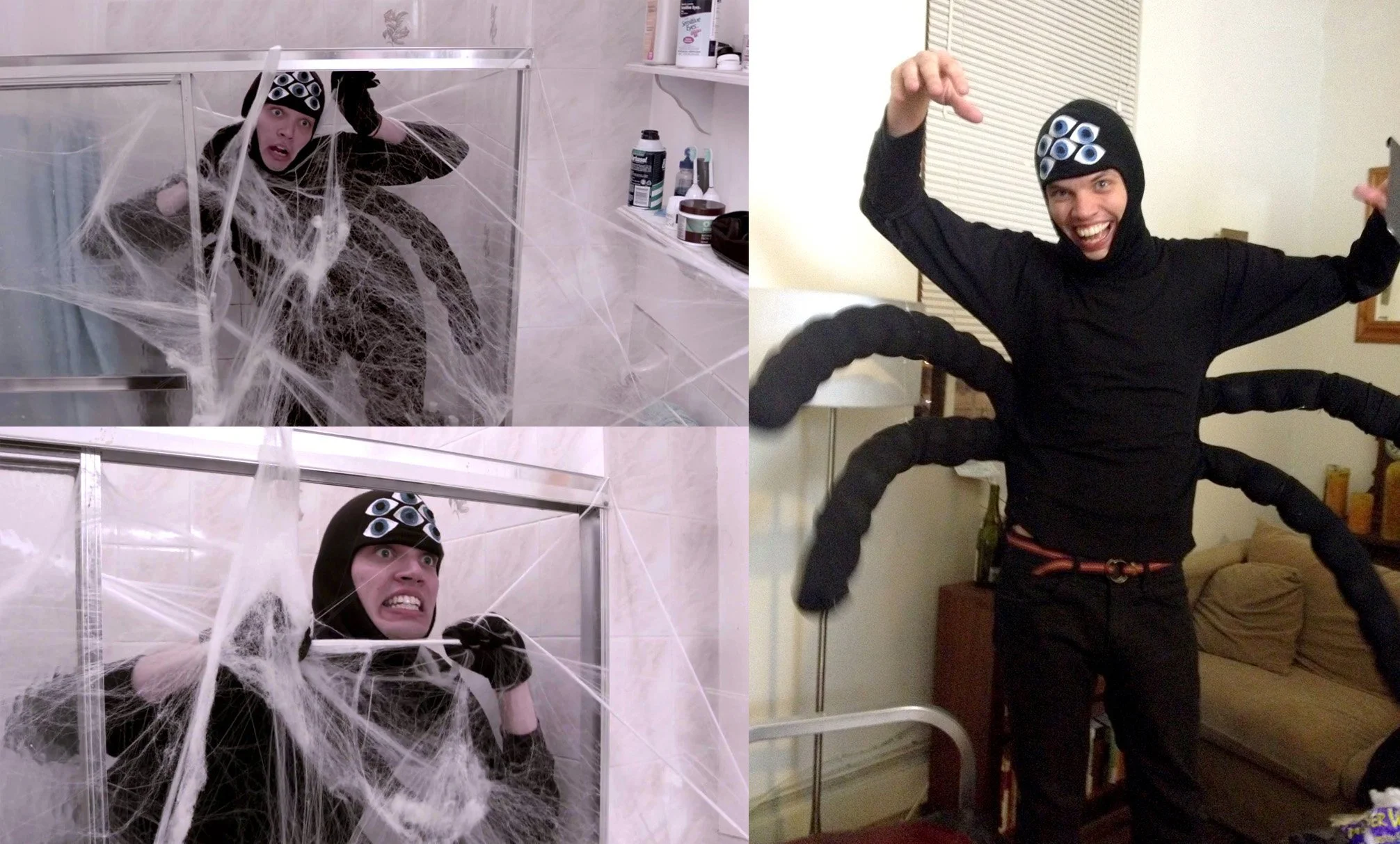 spider_nocaption.jpg