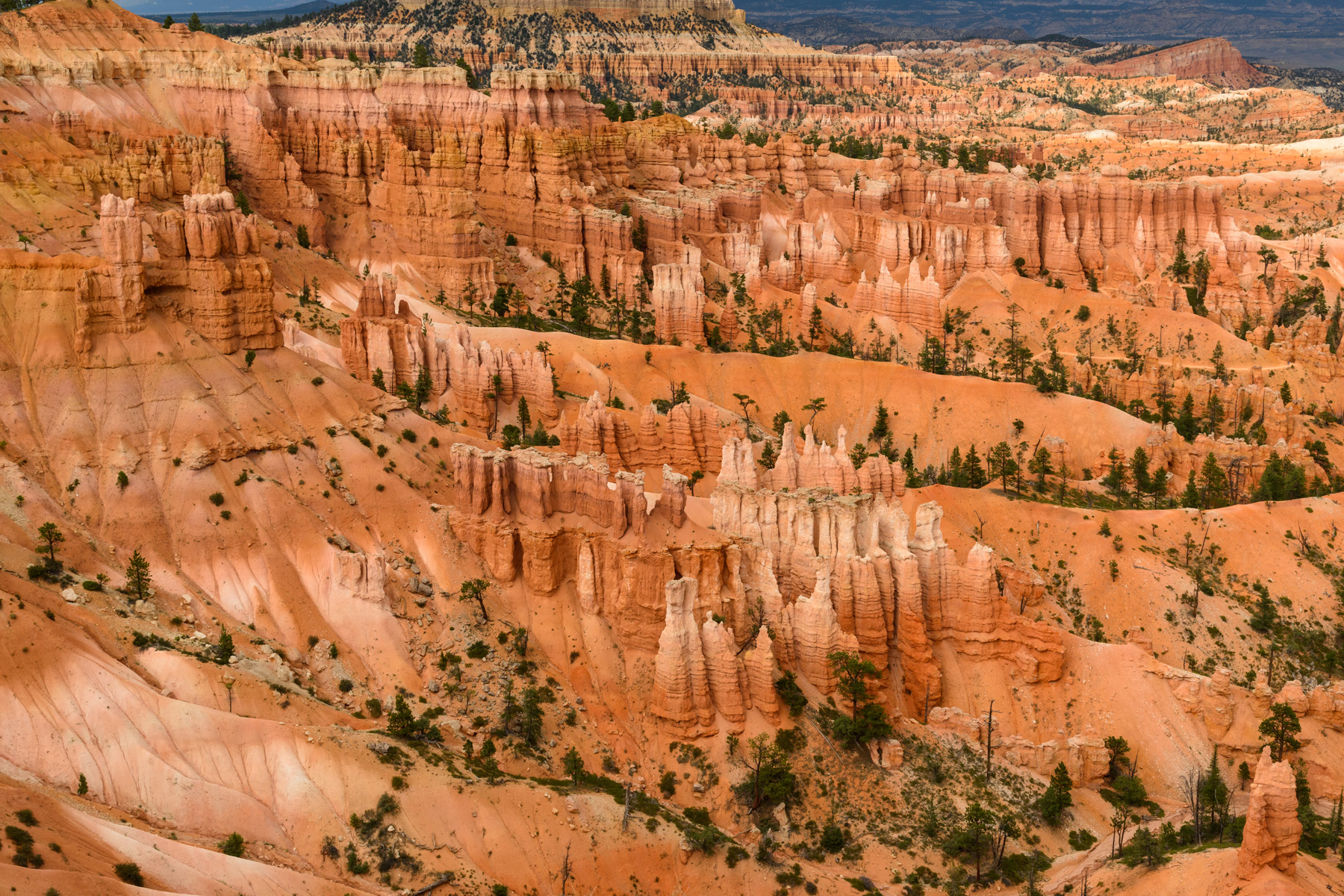Bryce-Canyon---Overview.jpg