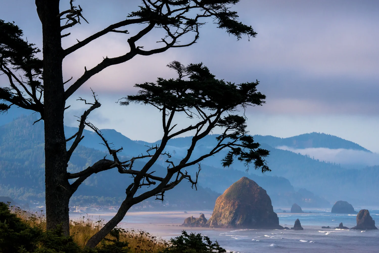 Cannon Beach