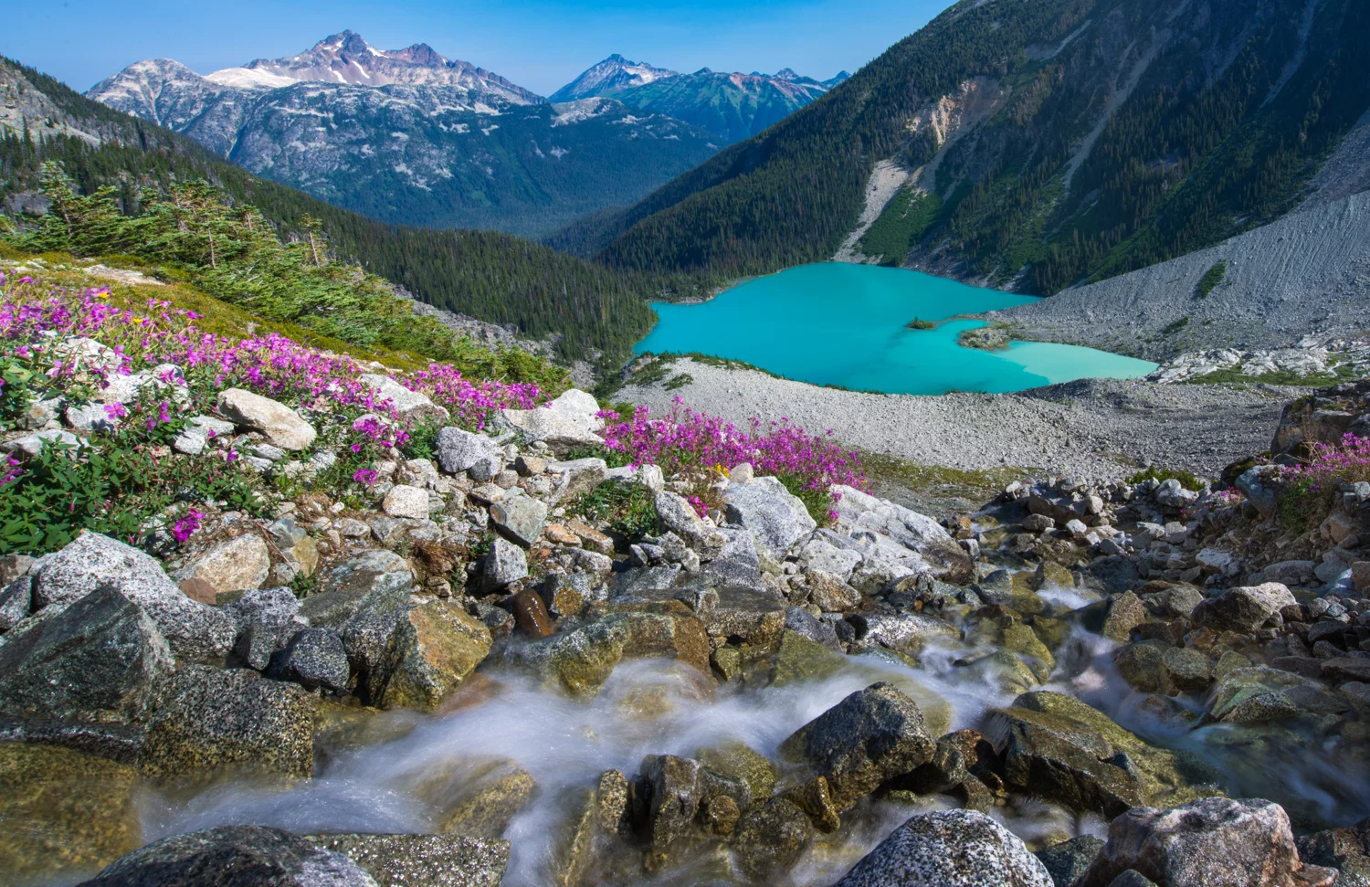 Alpine Flow