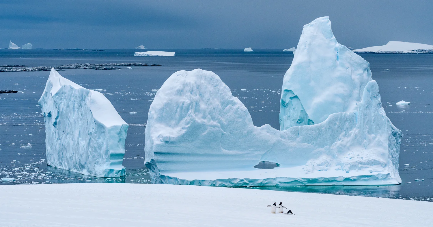 Penguins & Ice
