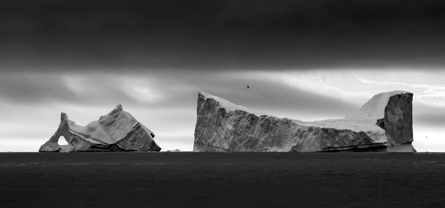 Black & White Ice