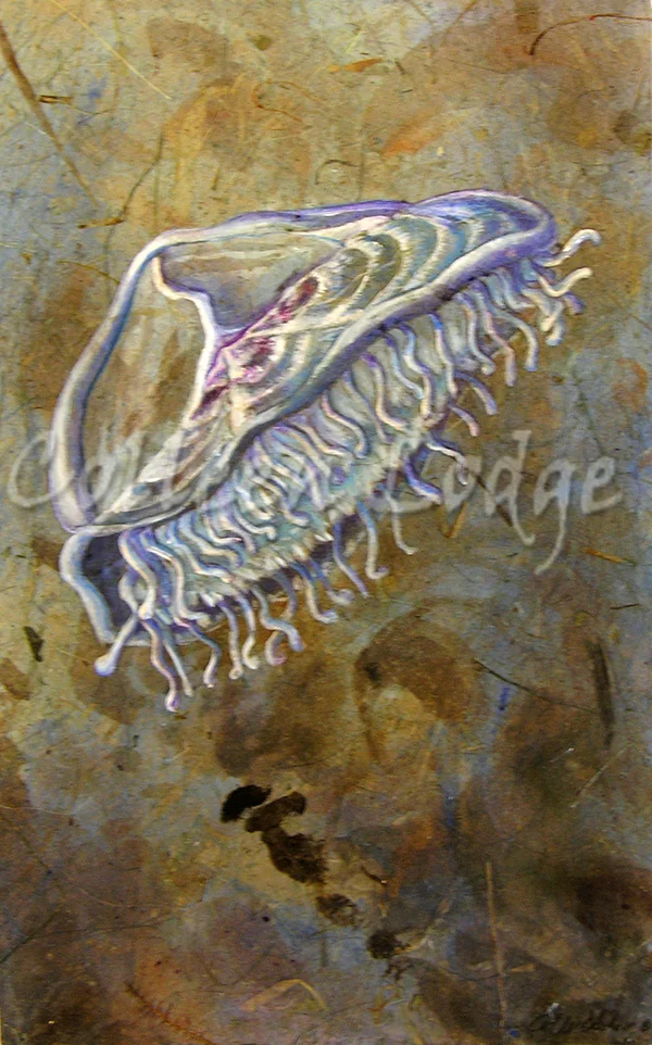 Cessation