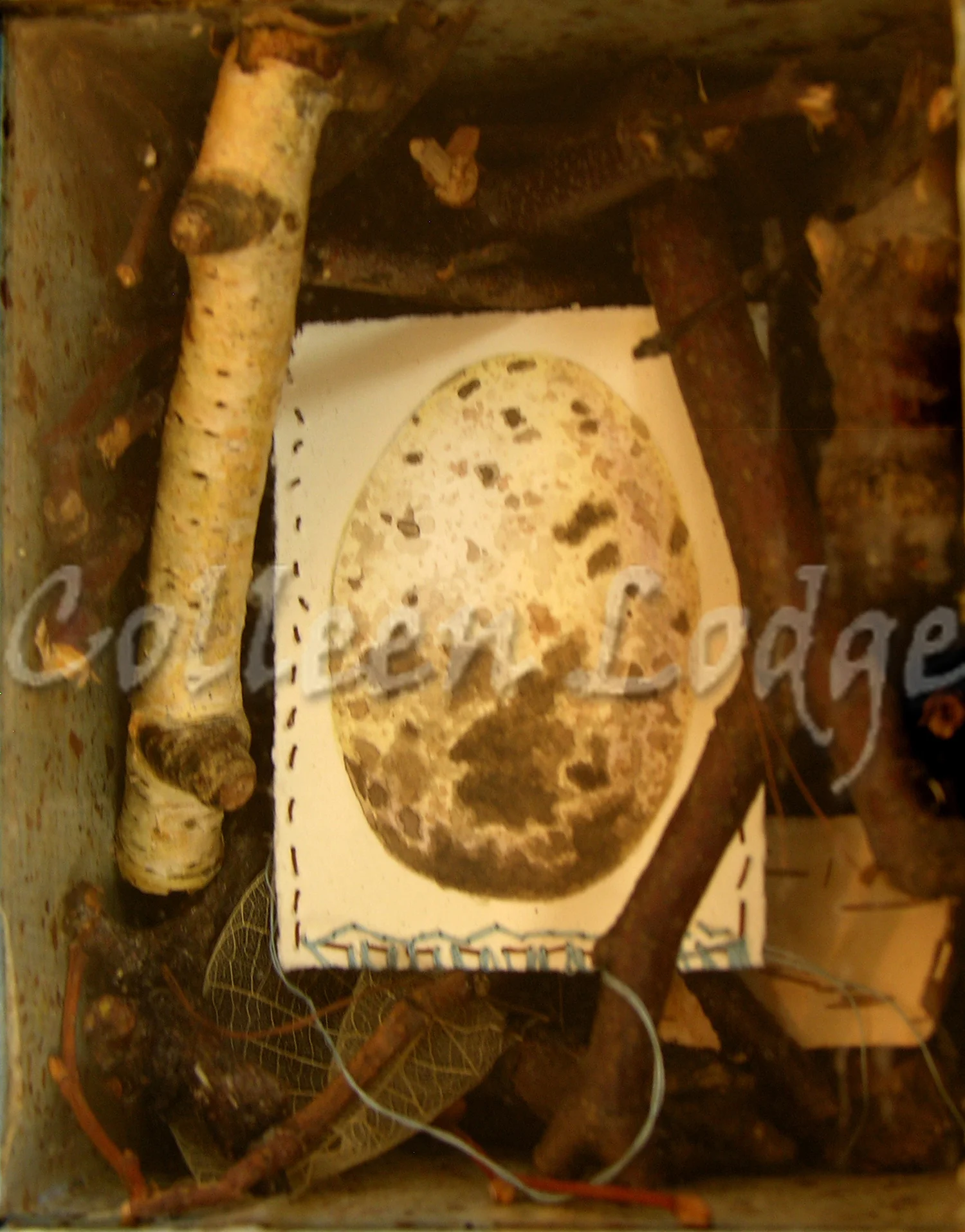 Nutmeg Nursery