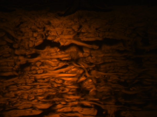  I don't remember imaging a wood pile!