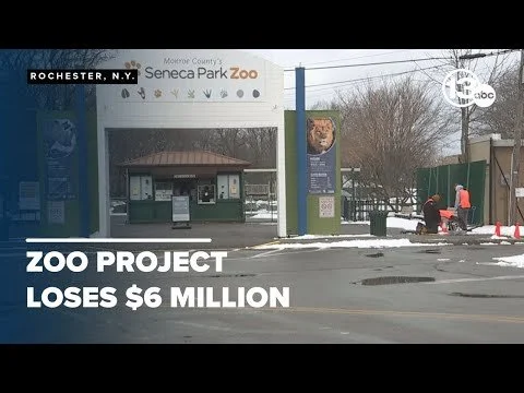 Seneca Park Zoo project faces financial scrutiny over design costs