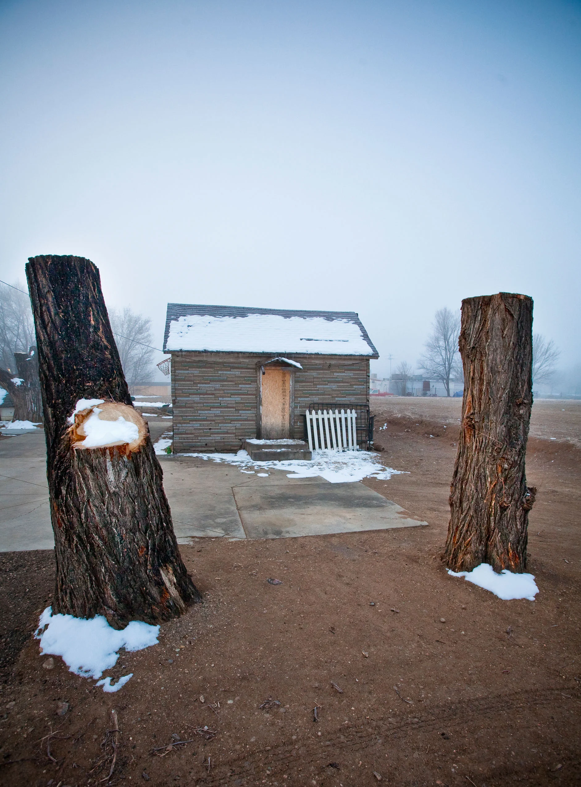 treeshack-1.jpg