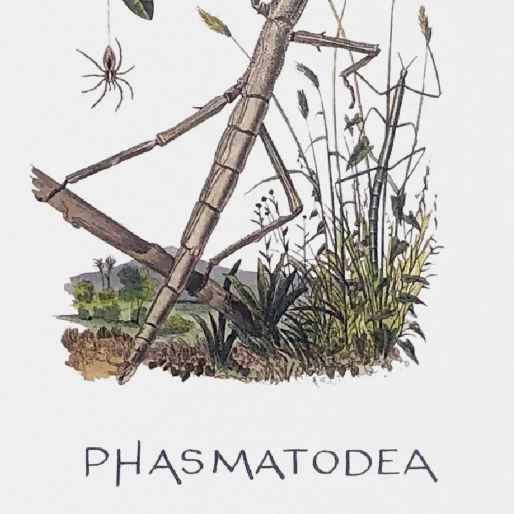 Quirky Lettering on Antique Botanical Wedding Cards