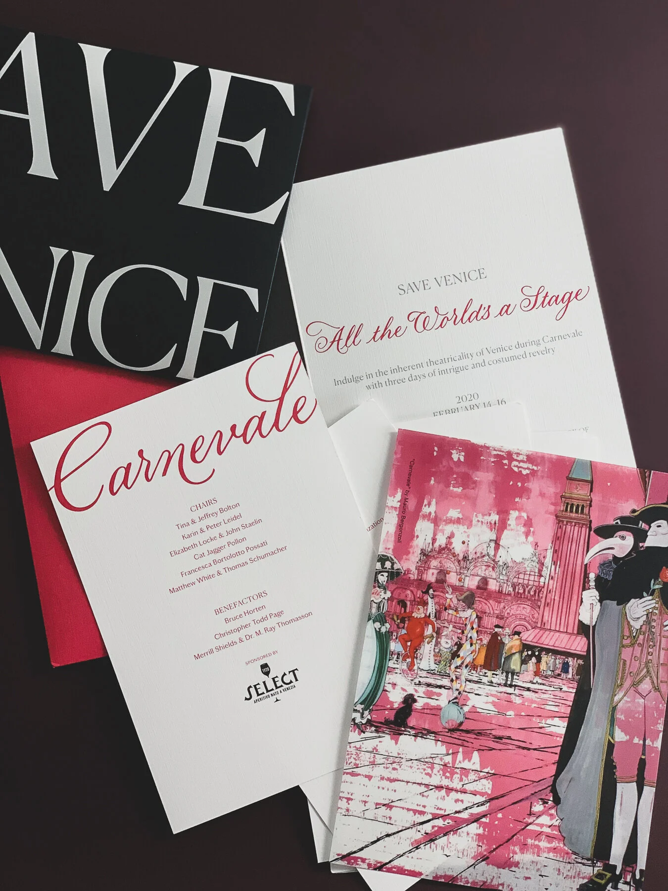 Save Venice Masquerade Spot Calligraphy