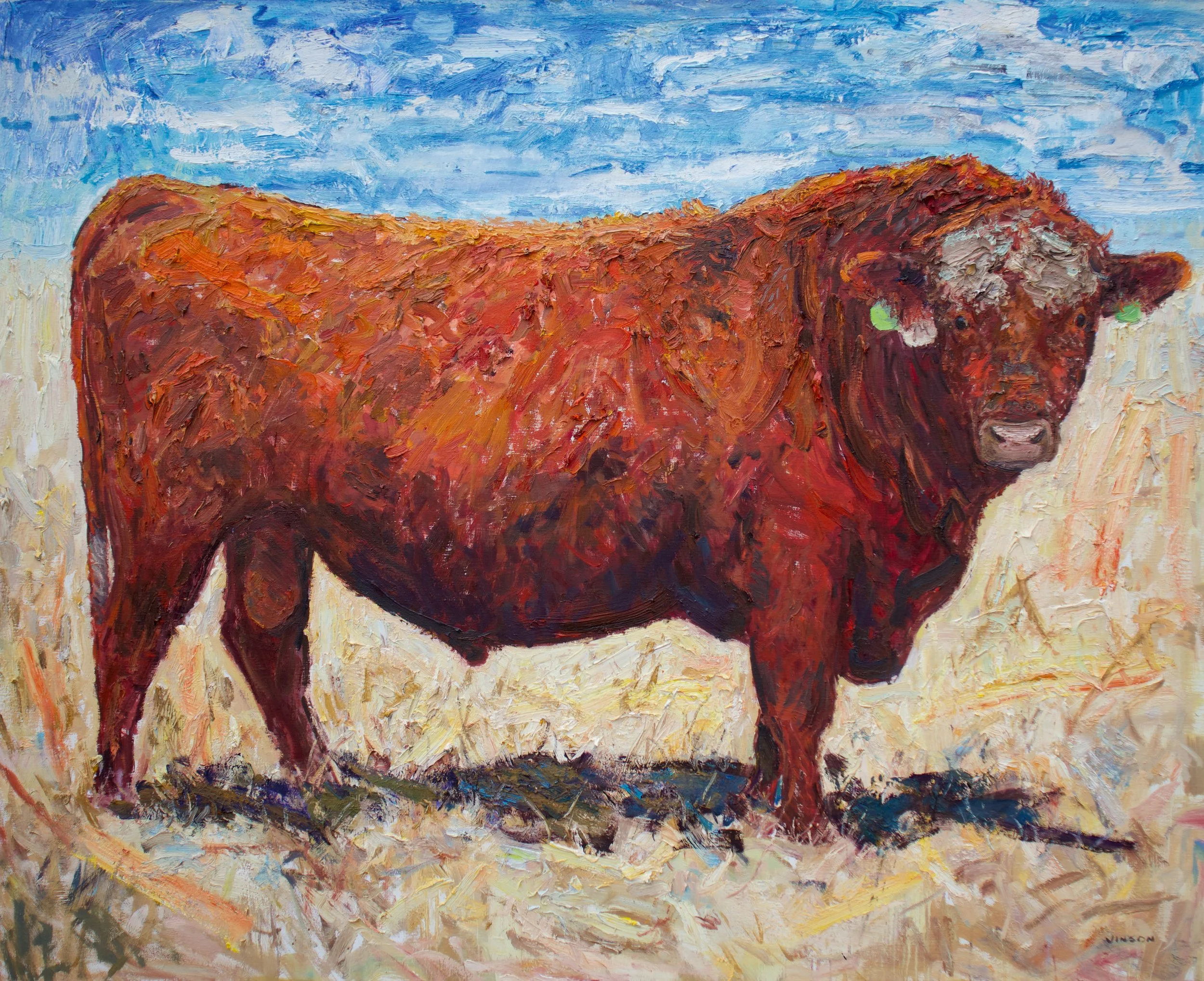 Vinson_Red_Angus_#74_48x60.jpeg