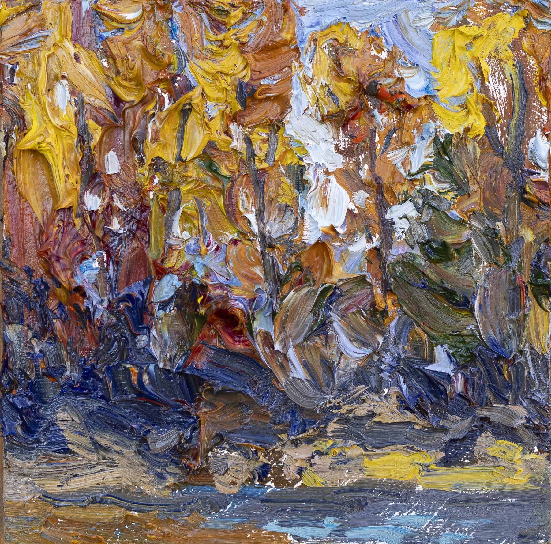 Glow_of_Cottonwoods.jpg