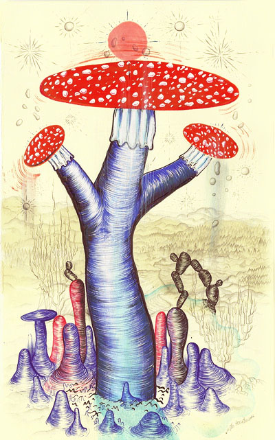 amanita.jpg