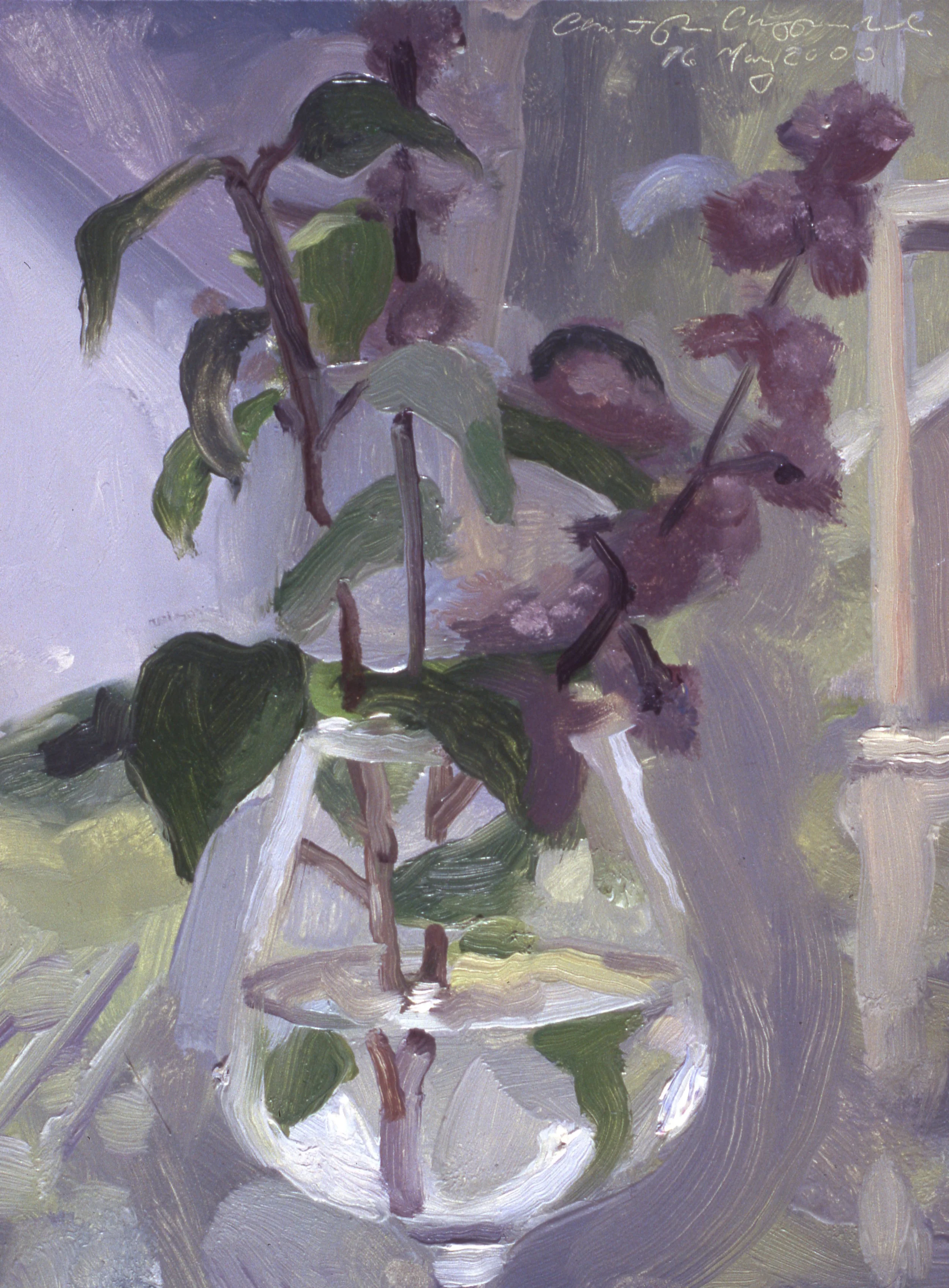 Still Life, Lilacs Contra Jour, 10x7, oil on panel, 2000.jpg