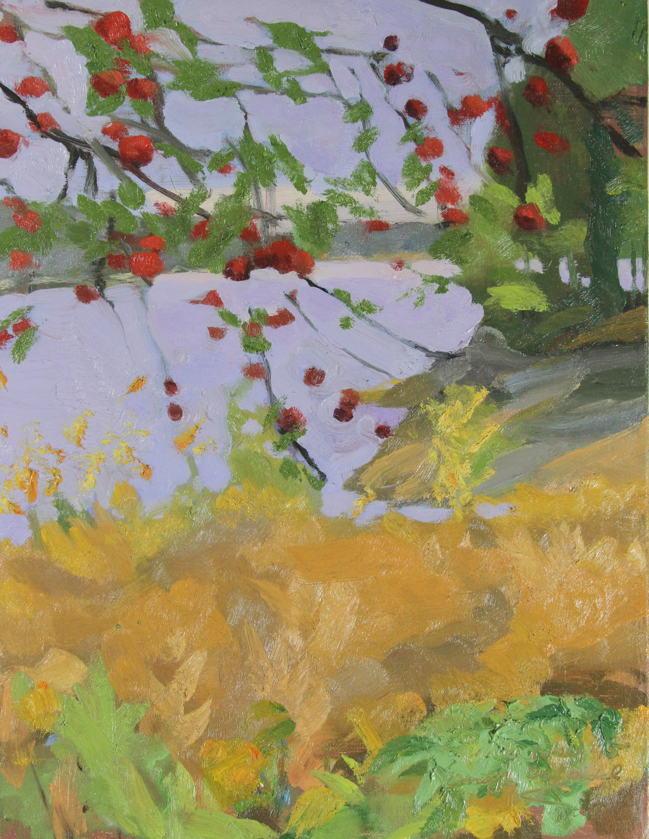 Apple Tree, Pickering Cove, oil on linen, 18 x 14