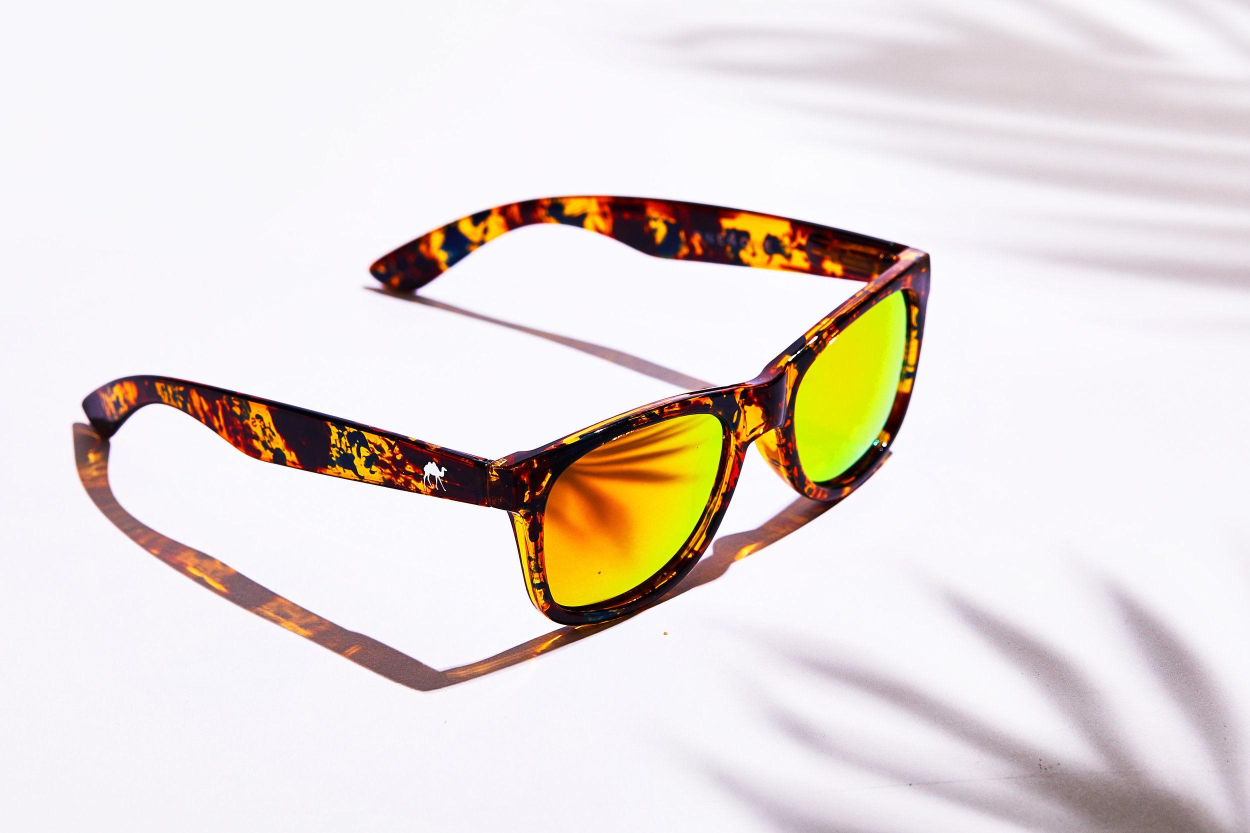 Sunnies10922.jpg