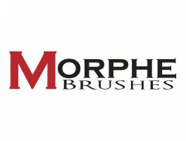 morphe-PRO--264x200.jpg