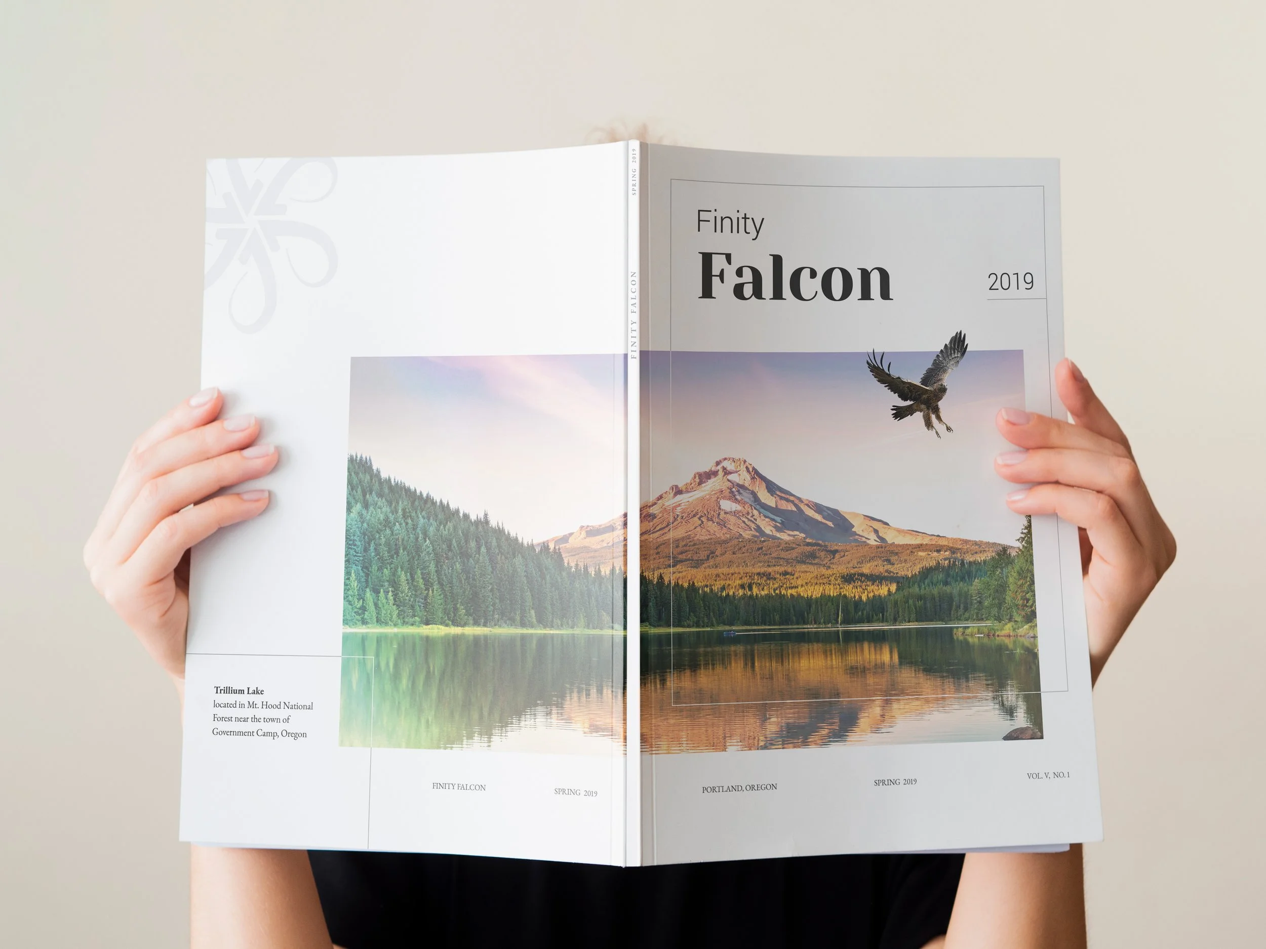 Finity Falcon Magazine