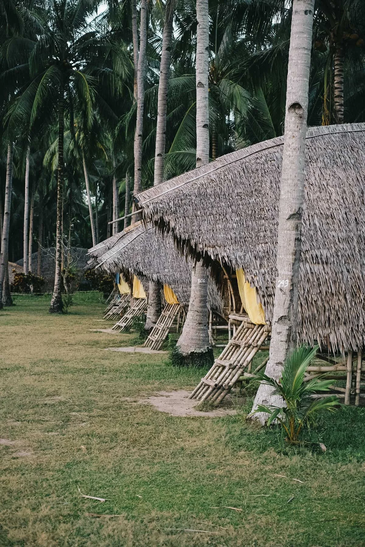 Travel photograph 1 by Rebekah Kamsky