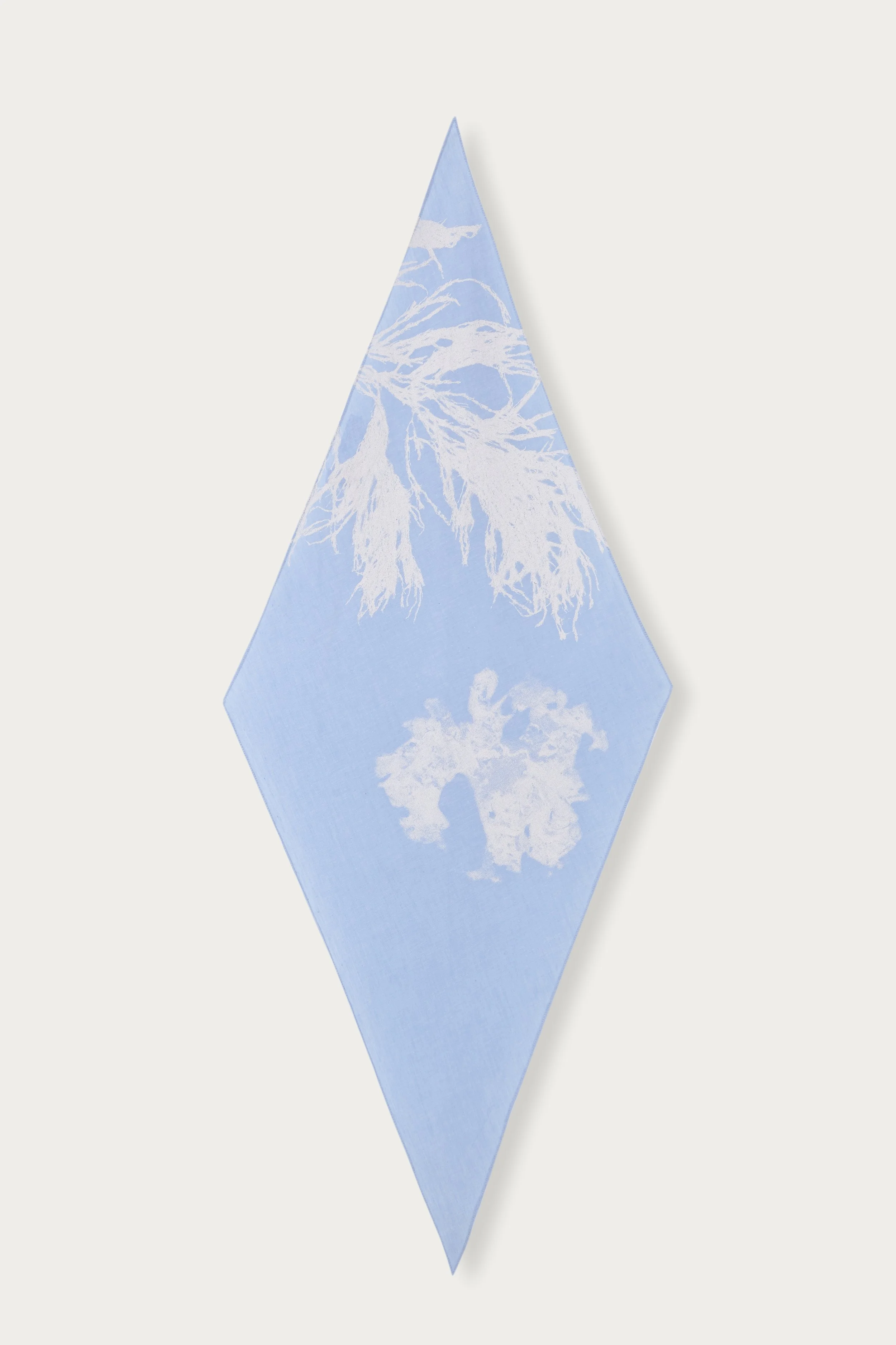 Carlota Barrera_SS23_Screen printed scarf (2).jpg