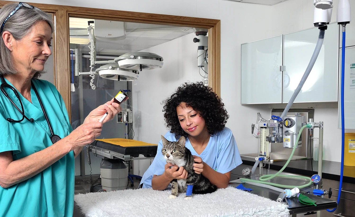 Clerkenwell Animal Hospital.