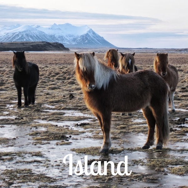Island 4 (LJ).jpg